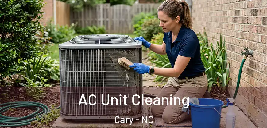  AC Unit Cleaning Cary - NC